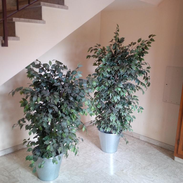 Apartament Casa Venturi Scandicci Zewnętrze zdjęcie